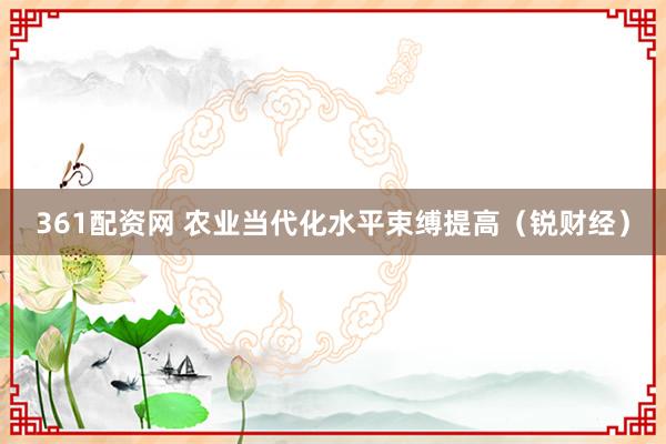 361配资网 农业当代化水平束缚提高（锐财经）