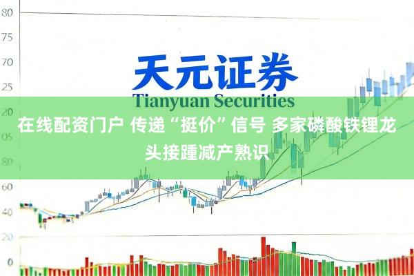 在线配资门户 传递“挺价”信号 多家磷酸铁锂龙头接踵减产熟识